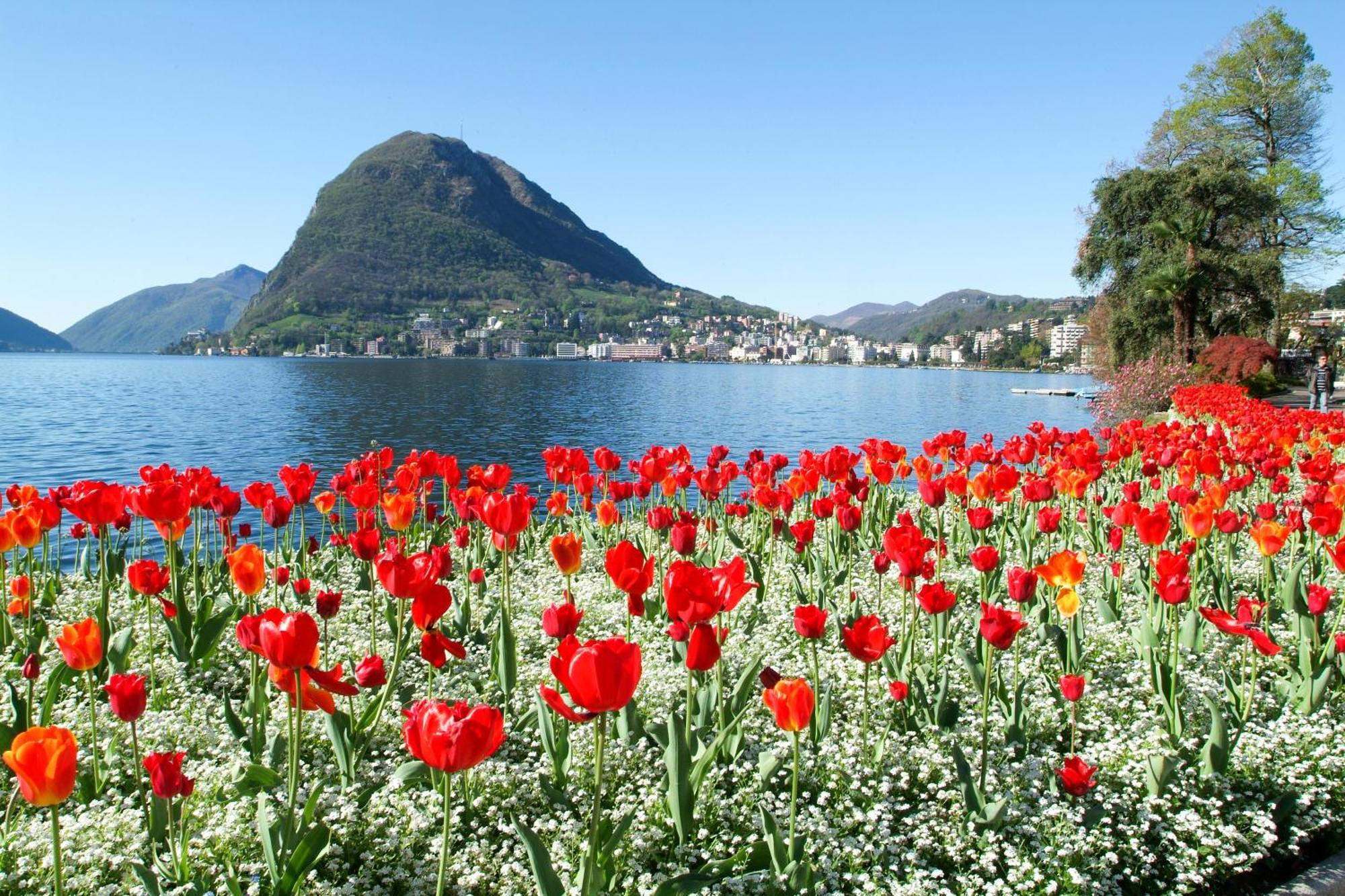 Ferienhaus In Lugano - Happy Rentals Exteriér fotografie